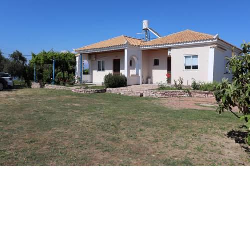 TASSOS 2