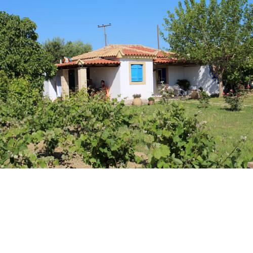 Tassos 3