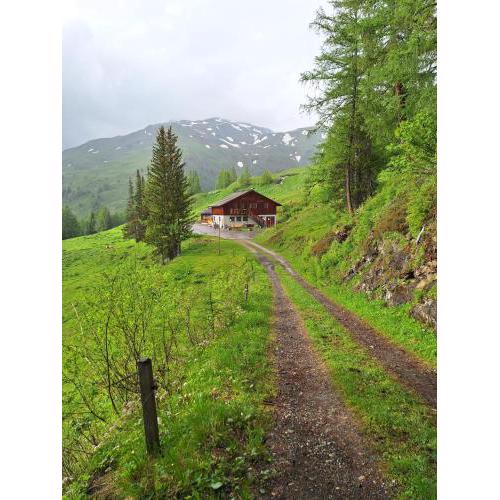 Tauernberg ALM-Hütte