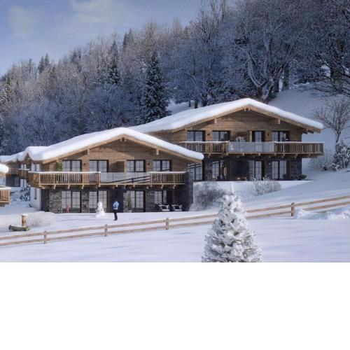 Tauernlodge Eben D3