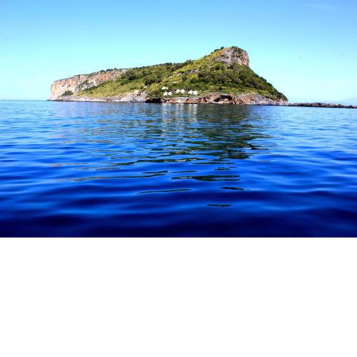 TEA Isola Dino - HOTEL & HOME - Praia a Mare