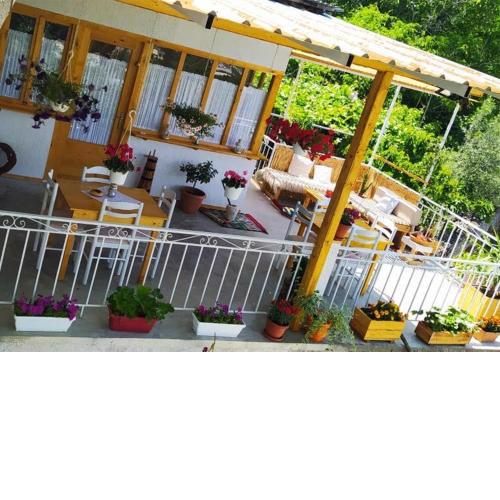 TeArra GuestHouse