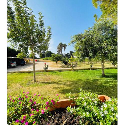 Tenuta Angelini Apartments