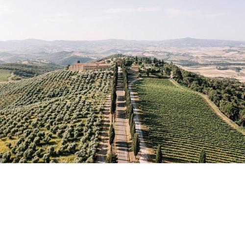 Tenuta di Montecucco - ColleMassari Hospitality