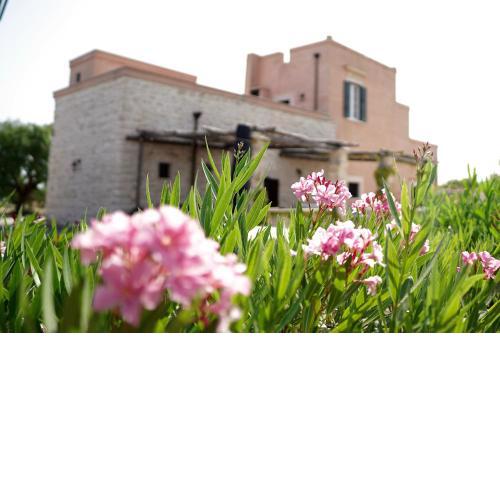 Tenuta il Carrubo