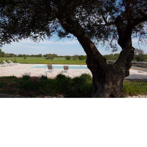 Tenuta la Civetta