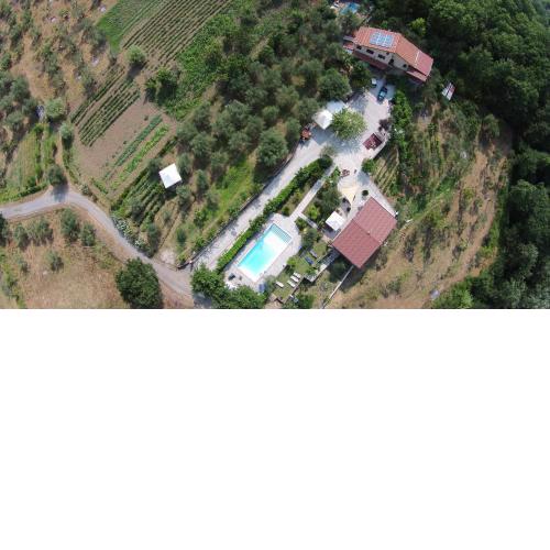 TENUTA MARTINO