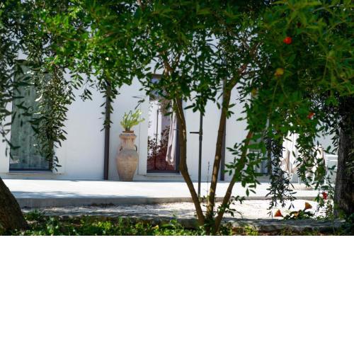 Tenuta Santa Maria
