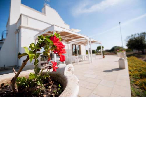 Tenuta Terraluna