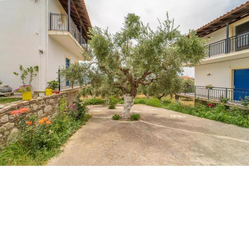 TERRA OLIVO APARTMENTS