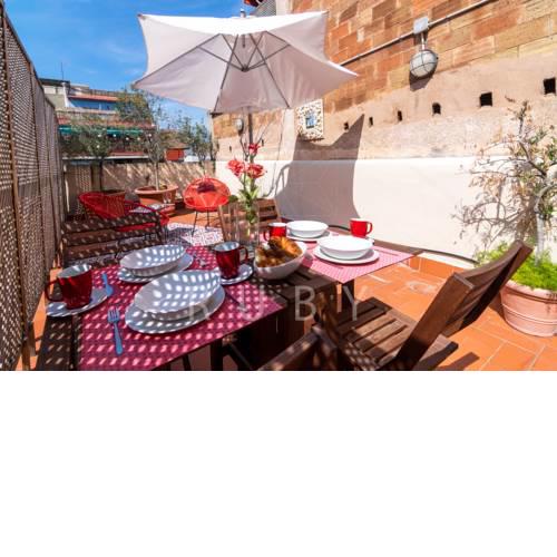 Terrace oasis in the Center of Barcelona