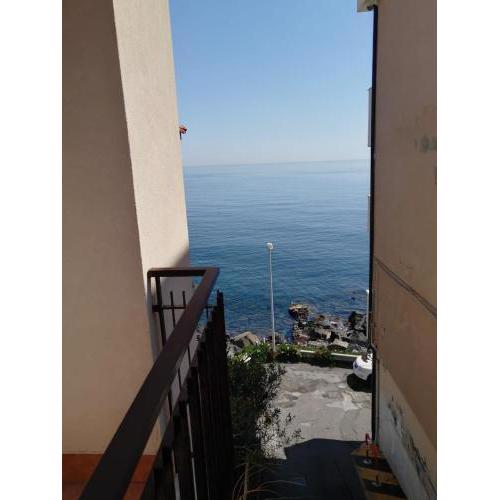 Terrace on the sea