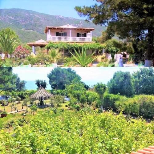 TETRAKTYS ESTATE ( ΑΗΡ )