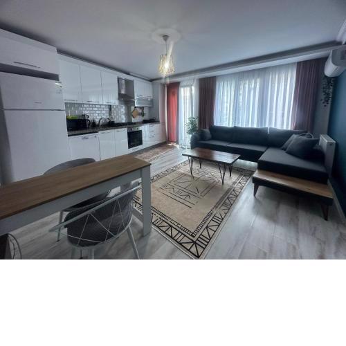Thalia Chesme Homes