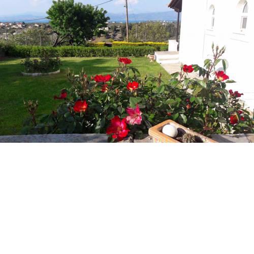 The Adam's Studio in Oropos