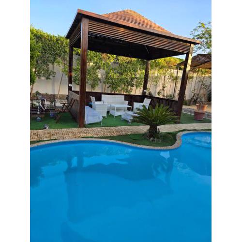 The amazing villa