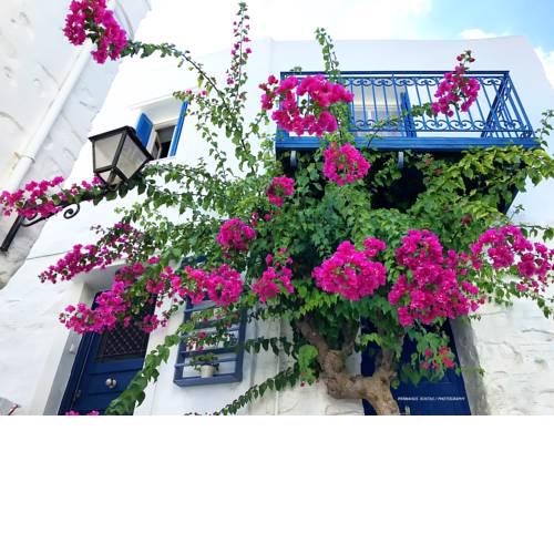 The Balcony of Voukambilia!