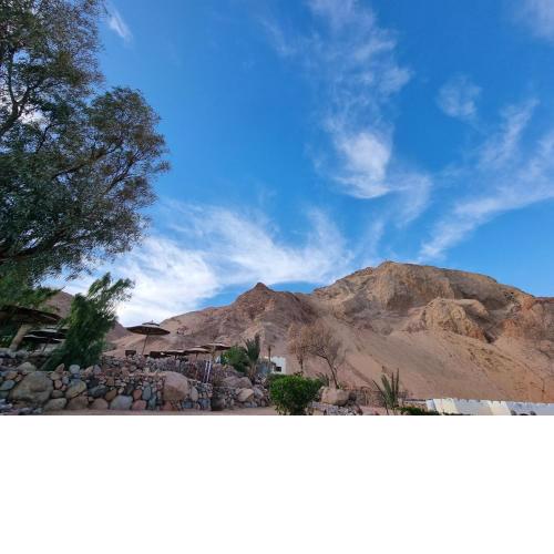 The Bedouin Moon Studios
