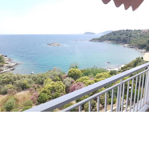 The Best View