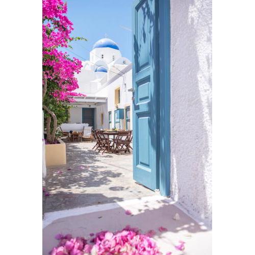 The Bougainvillea