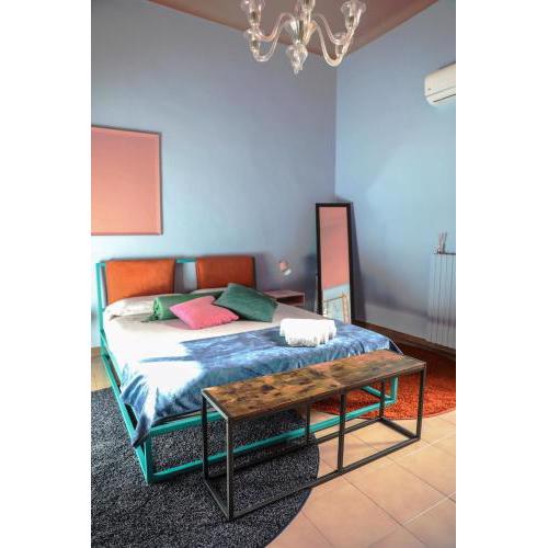 The colors house