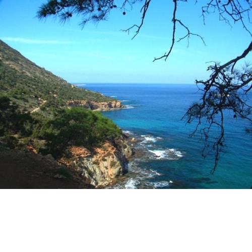 The Complete Guide to Renting Your Exclusive Holiday Villa in Sotira with Private Pool and Close to the Beach, Sotira Villa 1302
