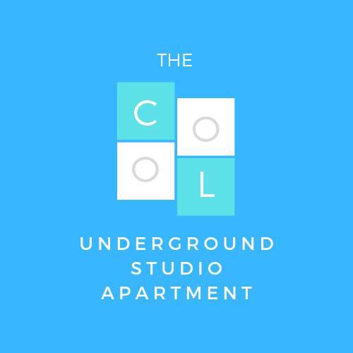 The cool underground studio apartment!