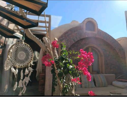 The dome house