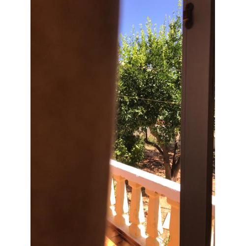 The garden view apartment2