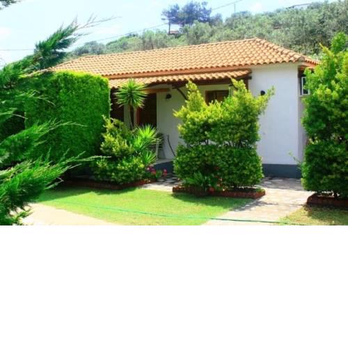 The Garden