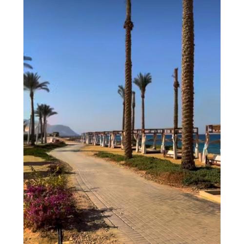 The Groove Ain Sokhna