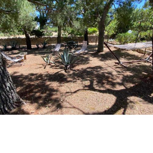 The hidden trullo of la Selva di Fasano