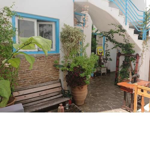 The House Hostel