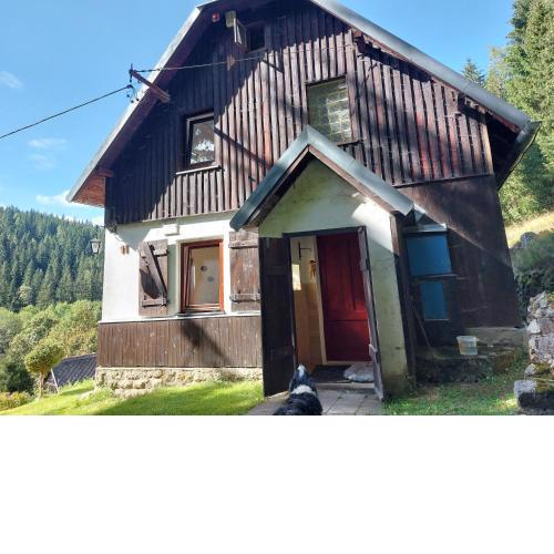 The House Next to the Forest - LAKMAT