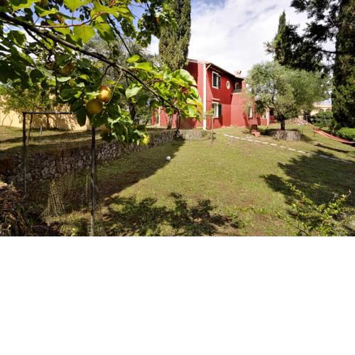 The House with the Cypress