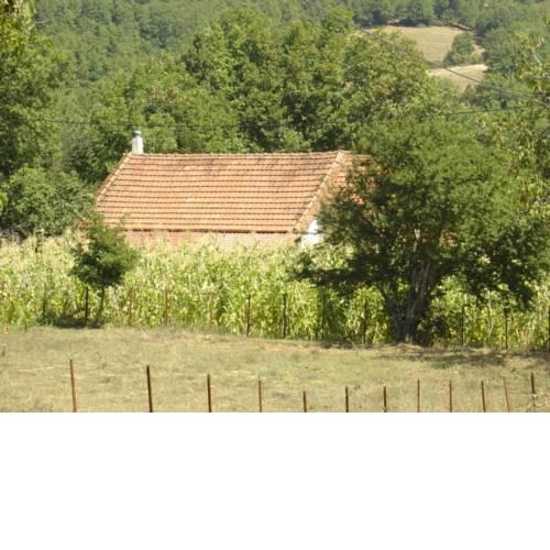 The Lake's House