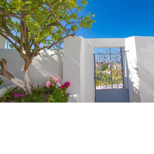 The Lemon Tree House