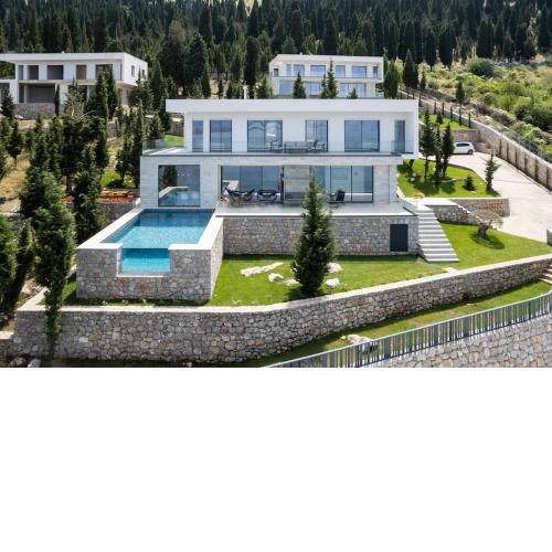 The Luxury Villa