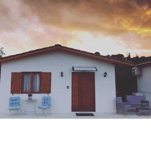 THE MANSION OF DIONISOS AND DIMITRAS 3