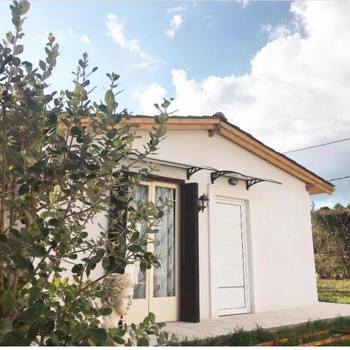 The mansion of Dionisos and Dimitras 7
