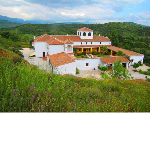 The most beautiful Cortijo Located in Andalucia