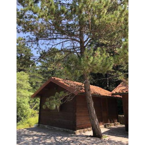 The Old Man's Chalet