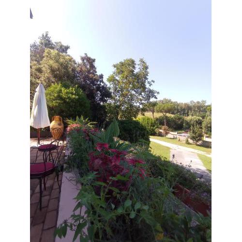 The Olive Grove Roma Guest House