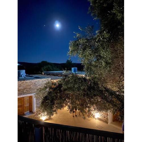 The Olive House Kythnos