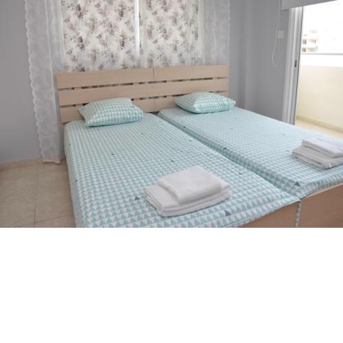 The olive tree apartment