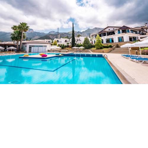 The Olive Tree Hotel