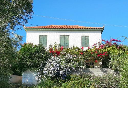 The Olive yard house in Koroni