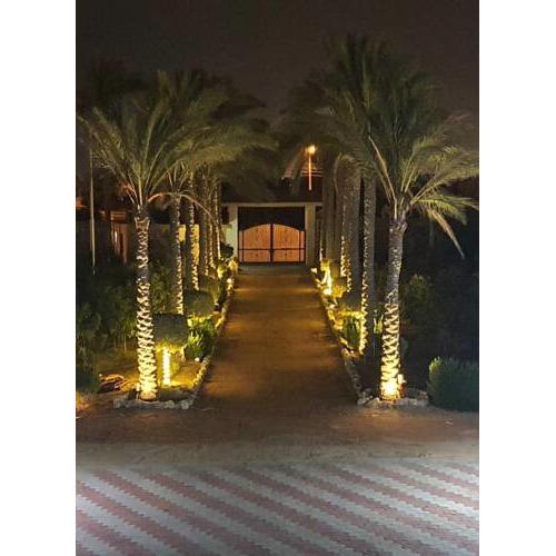 THE PALM PARK