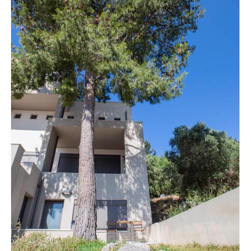 The Pine Flat