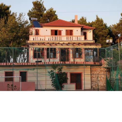 The Pine Tree House